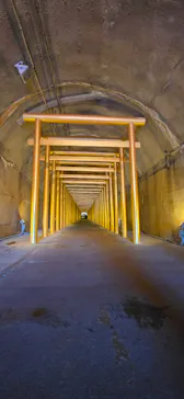 土肥金山に投稿された画像（2026/3/15）