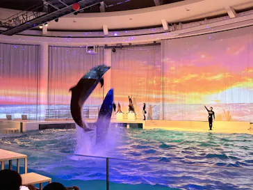 アクアワールド茨城県大洗水族館に投稿された画像（2026/3/15）