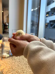 Moff animal cafe MARKIS 福岡ももち店に投稿された画像（2026/3/15）