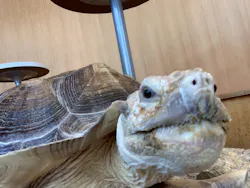 Moff animal cafe MARKIS 福岡ももち店に投稿された画像（2026/3/15）