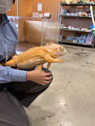 Moff animal cafe MARKIS 福岡ももち店に投稿された画像（2026/3/15）