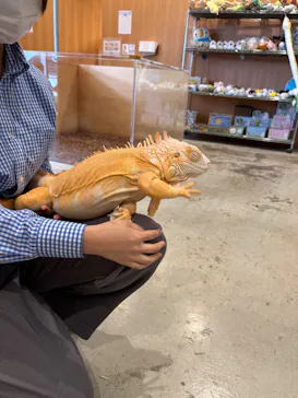 Moff animal cafe MARKIS 福岡ももち店に投稿された画像（2026/3/15）