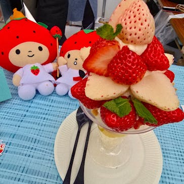 OSAKA Strawberry Festivalに投稿された画像（2026/3/15）