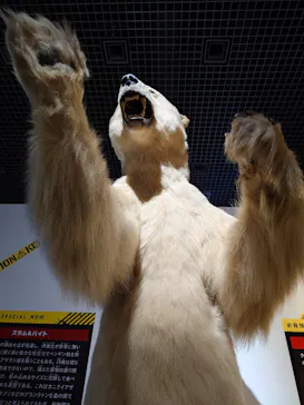 特別展「超危険生物展　科学で挑む生き物の本気」に投稿された画像（2026/3/15）