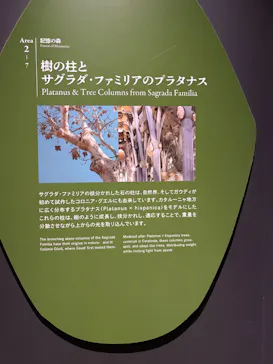 NAKED meets ガウディ展に投稿された画像（2026/3/15）