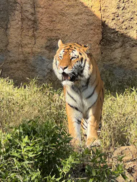東京動物園協会_多摩動物公園に投稿された画像（2026/3/15）