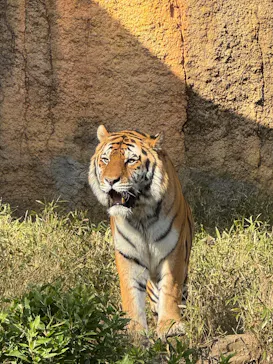 多摩動物公園に投稿された画像（2026/3/15）