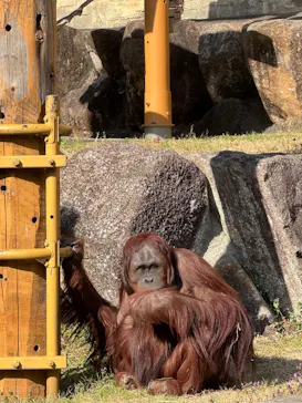 多摩動物公園に投稿された画像（2026/3/15）