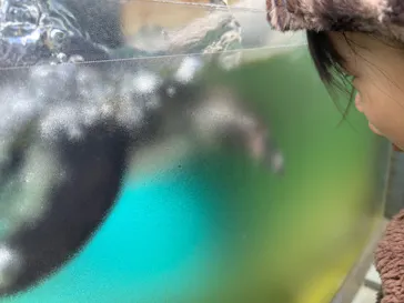 天王寺動物園に投稿された画像（2026/3/15）