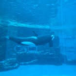 名古屋港水族館に投稿された画像（2026/3/15）