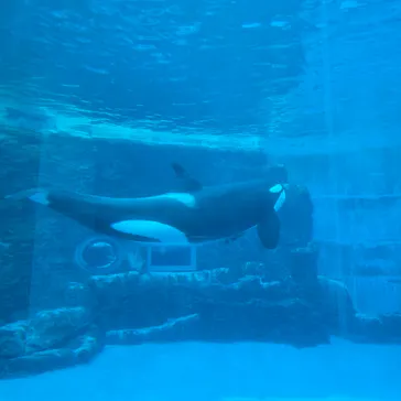 名古屋港水族館に投稿された画像（2026/3/15）