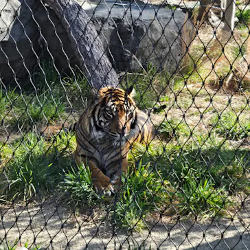 名古屋市東山動植物園に投稿された画像（2026/3/15）