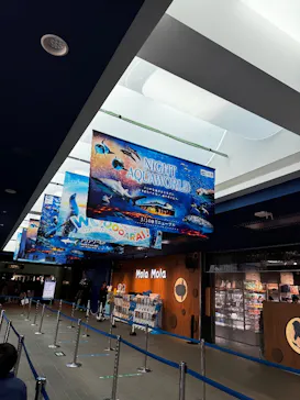 アクアワールド茨城県大洗水族館に投稿された画像（2026/3/15）