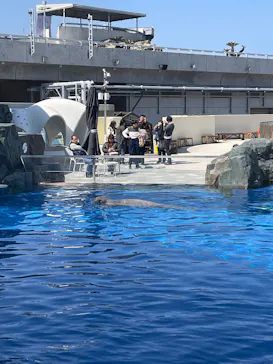 大分マリーンパレス水族館 「うみたまご」に投稿された画像（2026/3/15）