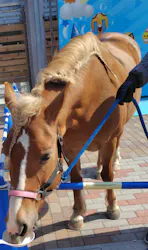 清水公園　アクアベンチャーに投稿された画像（2026/3/15）