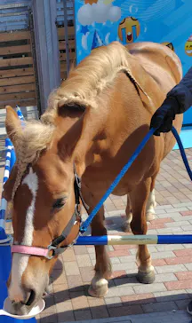 清水公園　アクアベンチャーに投稿された画像（2026/3/15）
