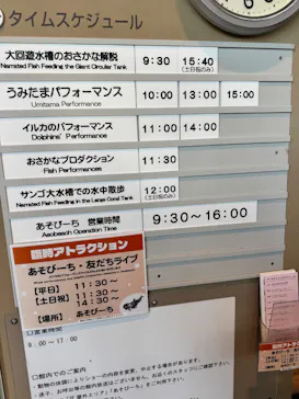 大分マリーンパレス水族館 「うみたまご」に投稿された画像（2026/3/15）