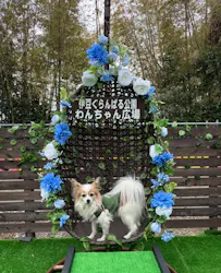 伊豆ぐらんぱる公園に投稿された画像（2026/3/15）