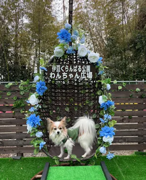 伊豆ぐらんぱる公園に投稿された画像（2026/3/15）