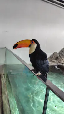 NIFREL（ニフレル）に投稿された画像（2026/3/15）