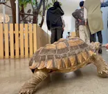 Moff アニマル カフェ イーアス 高尾店に投稿された画像（2026/3/15）