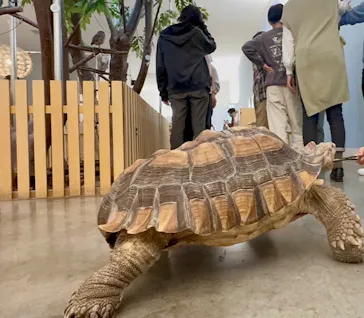 Moff アニマル カフェ イーアス 高尾店に投稿された画像（2026/3/15）