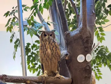 Moff アニマル カフェ イーアス 高尾店に投稿された画像（2026/3/15）