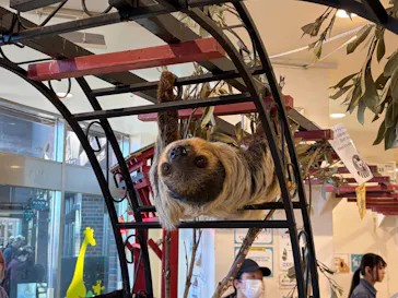 アニタッチみなとみらいに投稿された画像（2026/3/15）