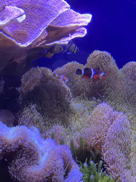 名古屋港水族館に投稿された画像（2026/3/15）