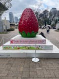 OSAKA Strawberry Festivalに投稿された画像（2026/3/15）