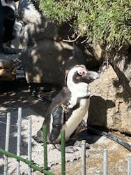 サンシャイン水族館に投稿された画像（2026/3/15）