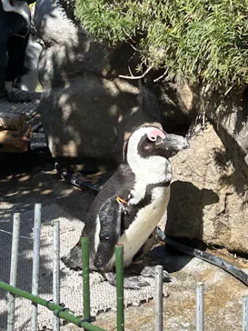 サンシャイン水族館に投稿された画像（2026/3/15）