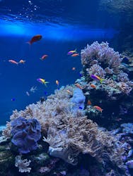 サンシャイン水族館に投稿された画像（2026/3/15）