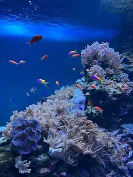 サンシャイン水族館に投稿された画像（2026/3/15）