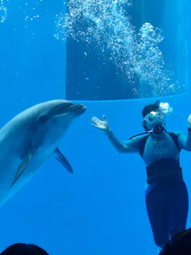 上越市立水族博物館 うみがたりに投稿された画像（2026/3/15）