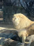 宇都宮動物園に投稿された画像（2026/3/15）