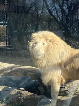 宇都宮動物園に投稿された画像（2026/3/15）