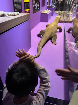 特別展「超危険生物展　科学で挑む生き物の本気」に投稿された画像（2026/3/15）