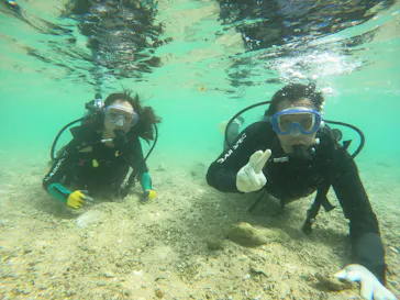 武藤潜水に投稿された画像（2026/3/15）