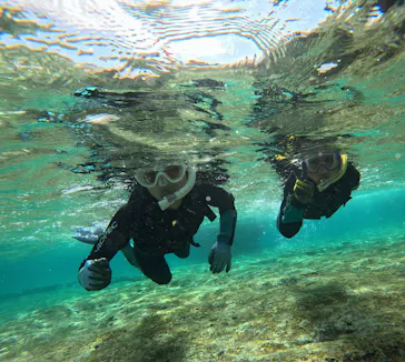 武藤潜水に投稿された画像（2026/3/15）