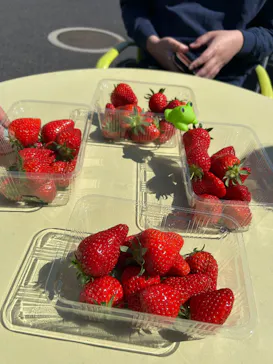 東松山市農林公園に投稿された画像（2026/3/15）