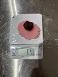 流山市白みりんミュージアムに投稿された画像（2026/3/15）