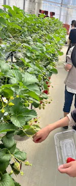 東松山市農林公園に投稿された画像（2026/3/15）