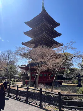 恩賜上野動物園に投稿された画像（2026/3/15）