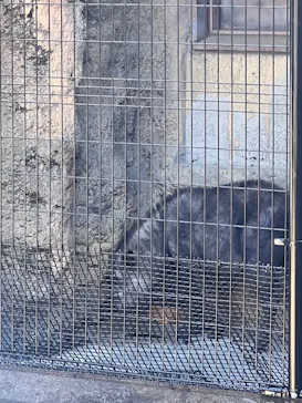 恩賜上野動物園に投稿された画像（2026/3/15）