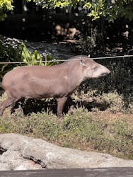 恩賜上野動物園に投稿された画像（2026/3/15）