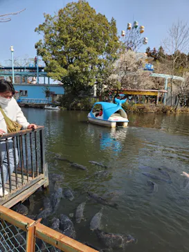 宇都宮動物園に投稿された画像（2026/3/15）