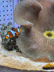 AOAO SAPPOROに投稿された画像（2026/3/15）