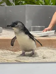 AOAO SAPPOROに投稿された画像（2026/3/15）