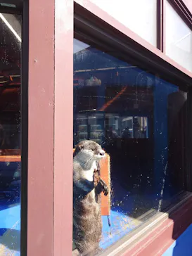 ゼロ距離水族館 伊勢シーパラダイスに投稿された画像（2026/3/15）